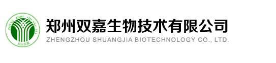 淄博眾志成電力技術(shù)有限公司